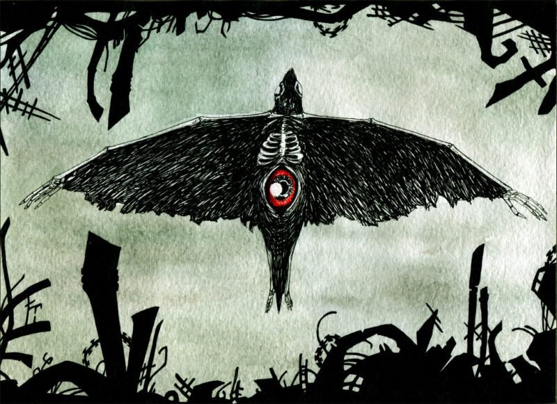 SCP-106 Bird Plane